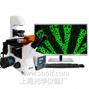 XSP-63XDV 三目倒置荧光显微镜