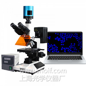 XSP-63XV 正置荧光显微镜