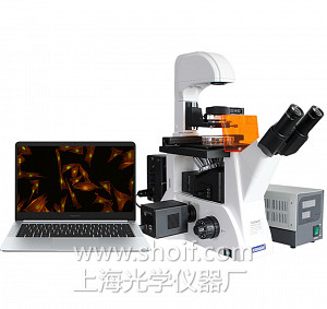 LWD300-38LFT 倒置荧光显微镜