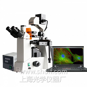XS-44C 三目倒置荧光显微镜