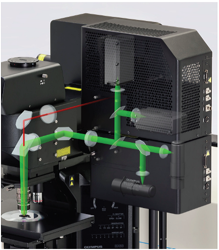 Olympus全新多光子显微镜：颠覆你的多光子成像