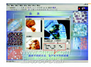 Motic Image 2000(1.3)图像软件分析系统