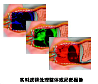 解剖、手术数码互动实验室1.0应用软件