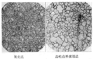 20钢奥氏体晶粒大小100倍